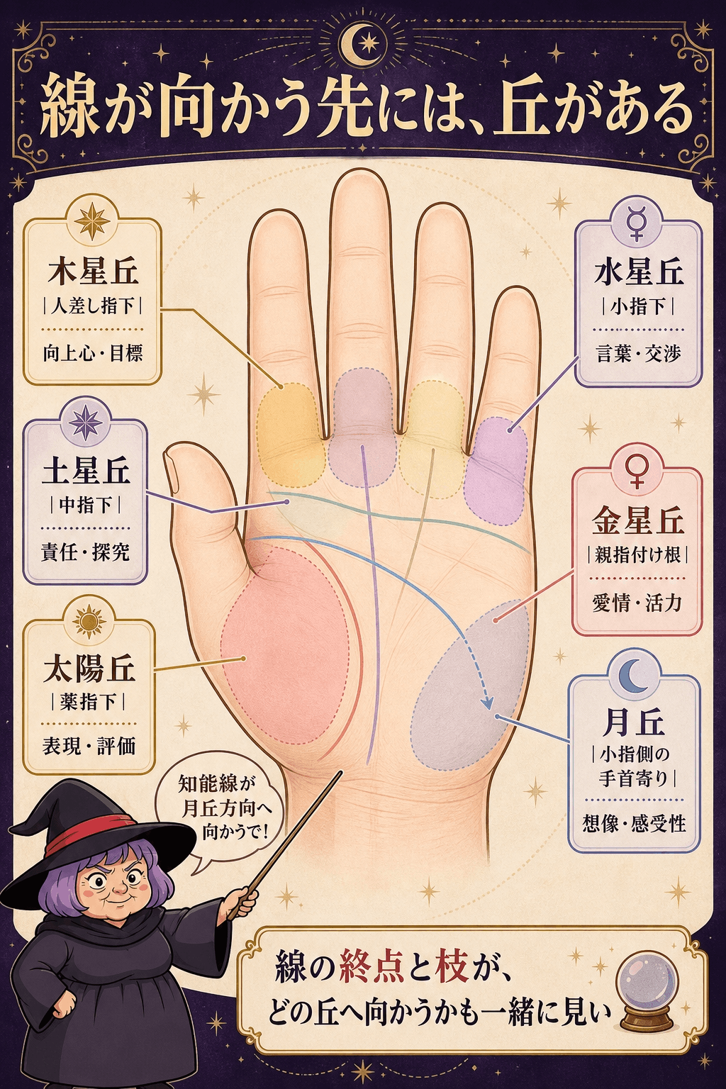 指の付け根と手のひらの六つの丘を位置・テーマとともに示した図解