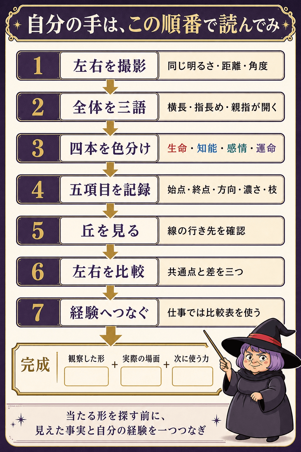 左右の写真撮影から基本線・丘・左右差・経験へ進む七段階の手相観察